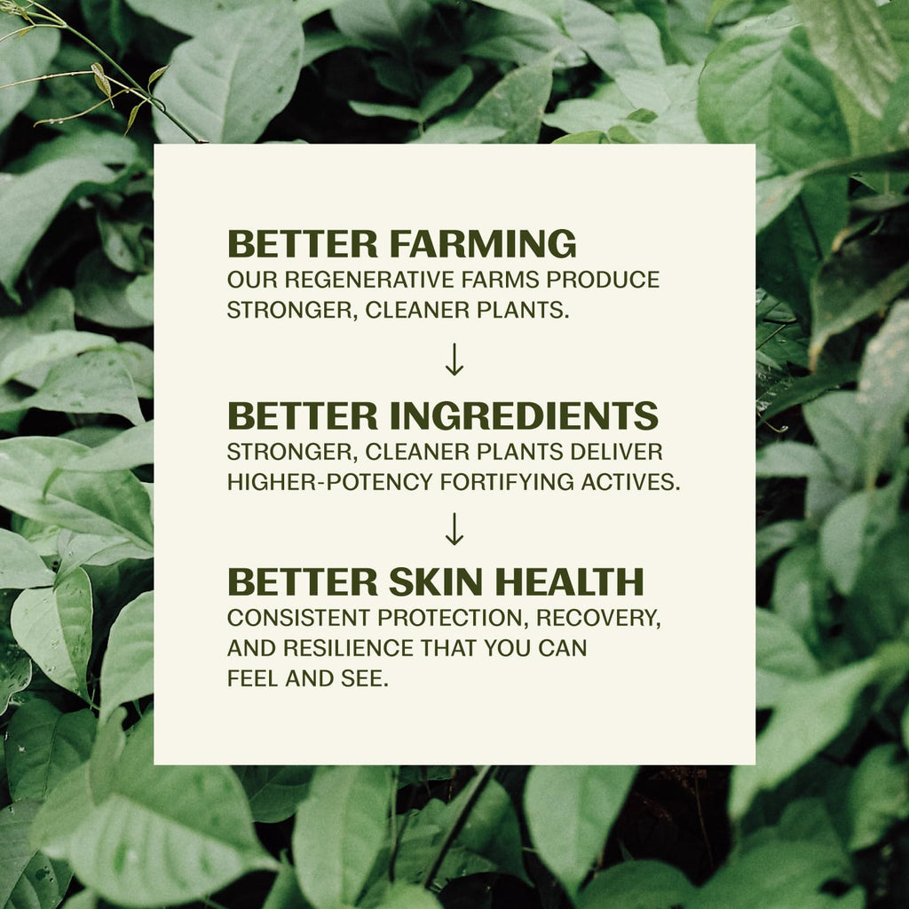 Face Wash - Hydrating Daily Facial Cleanser - Gently Cleanses Face without over Drying - Vegan, Oil Free