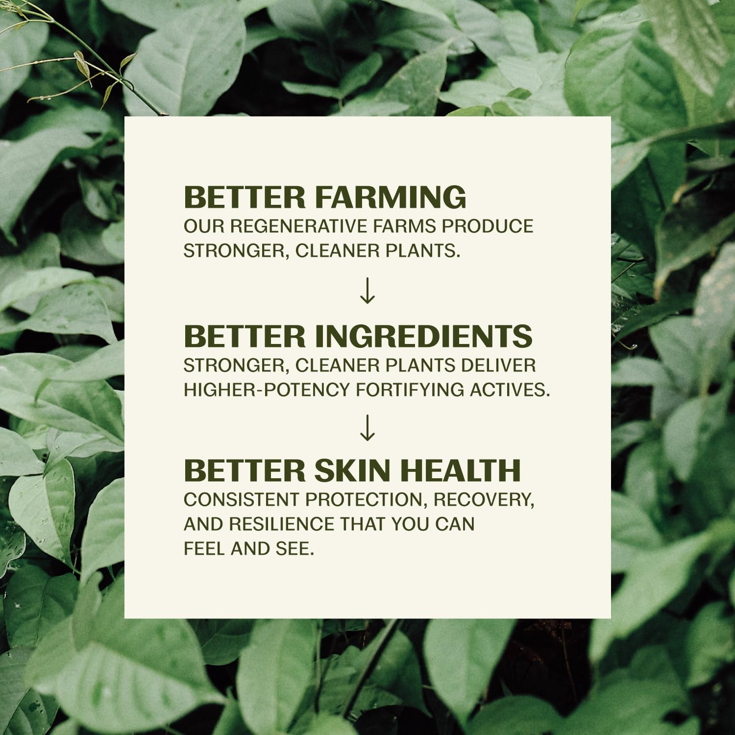 Face Wash - Hydrating Daily Facial Cleanser - Gently Cleanses Face without over Drying - Vegan, Oil Free