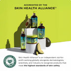 Avocado & Tamanu Anti-Frizz Shampoo - Sulfate Free Smoothing Shampoo for Textured Curly & Straight Styles, Humidity Resistant Hair Care & Moisture Replenishing Scalp Cleanser, 12Oz