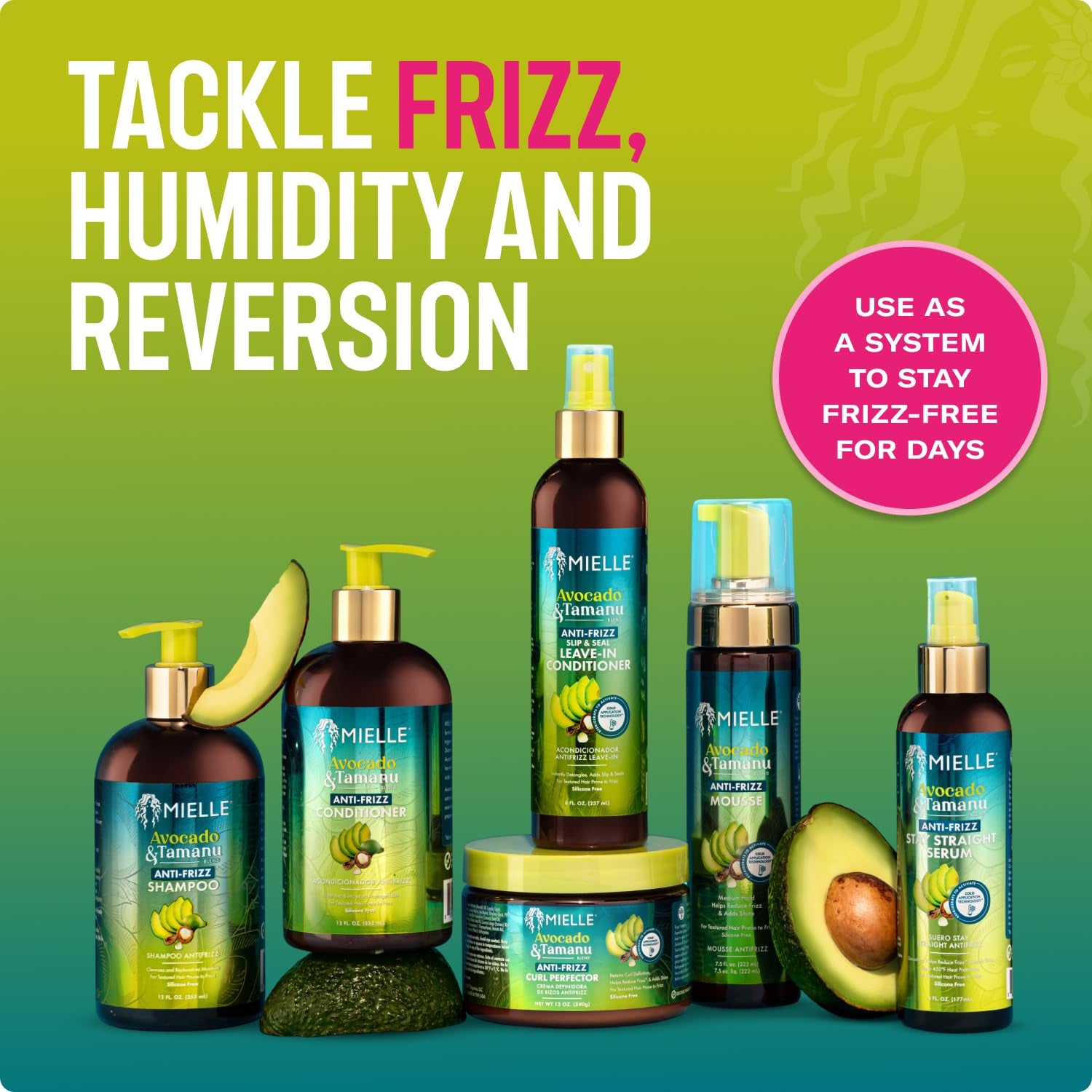 Avocado & Tamanu Anti-Frizz Shampoo - Sulfate Free Smoothing Shampoo for Textured Curly & Straight Styles, Humidity Resistant Hair Care & Moisture Replenishing Scalp Cleanser, 12Oz