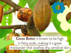 Babo Botanicals Sun Stick