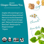 Soothing Ginger Nausea Tea