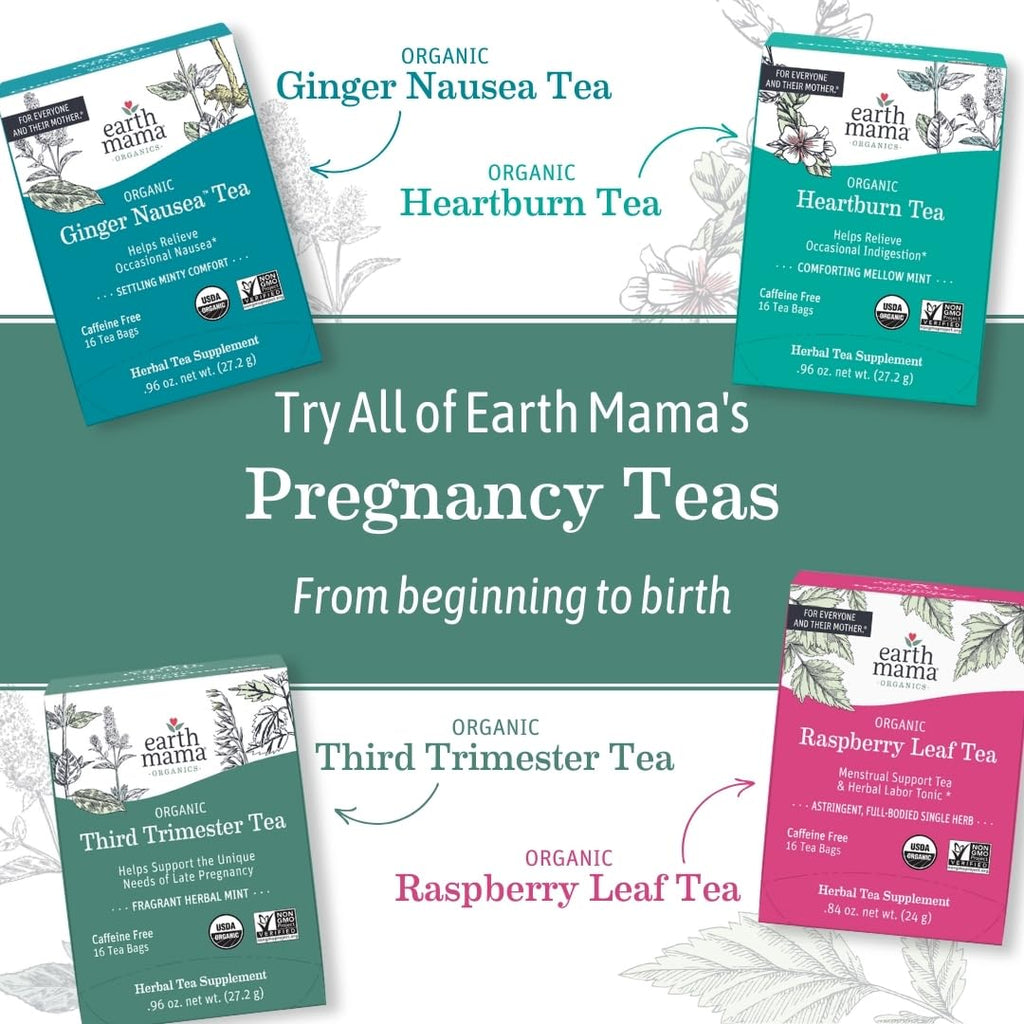 Soothing Ginger Nausea Tea
