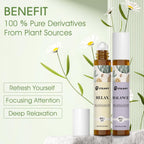 Aroma Bliss Roller Set