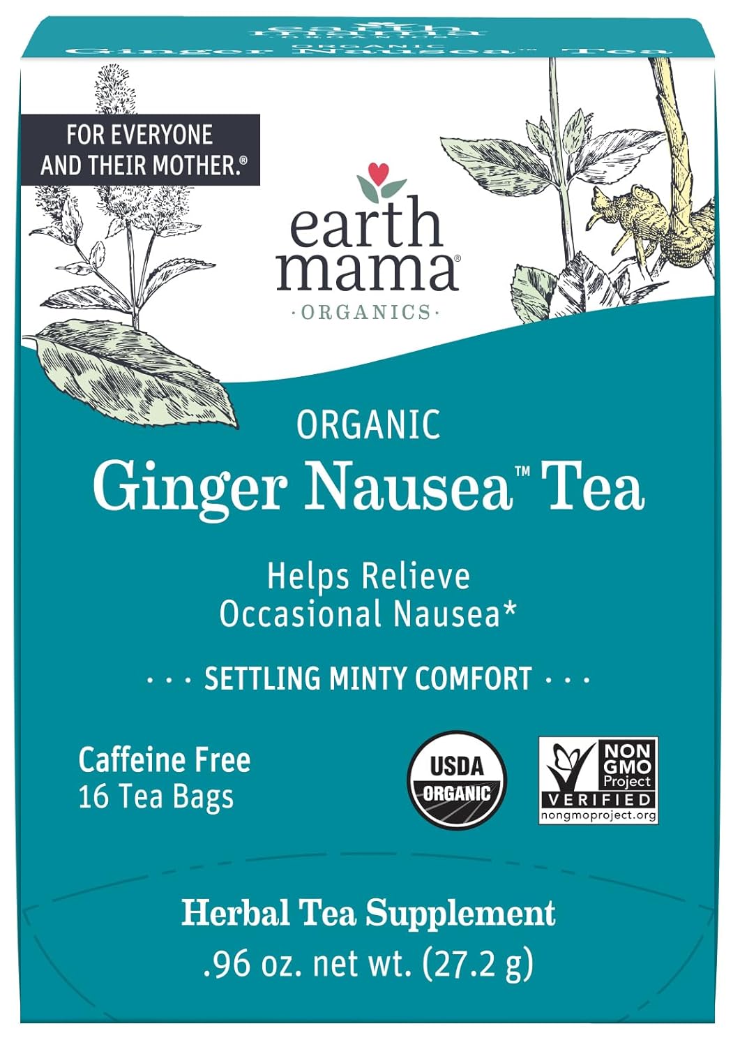 Soothing Ginger Nausea Tea