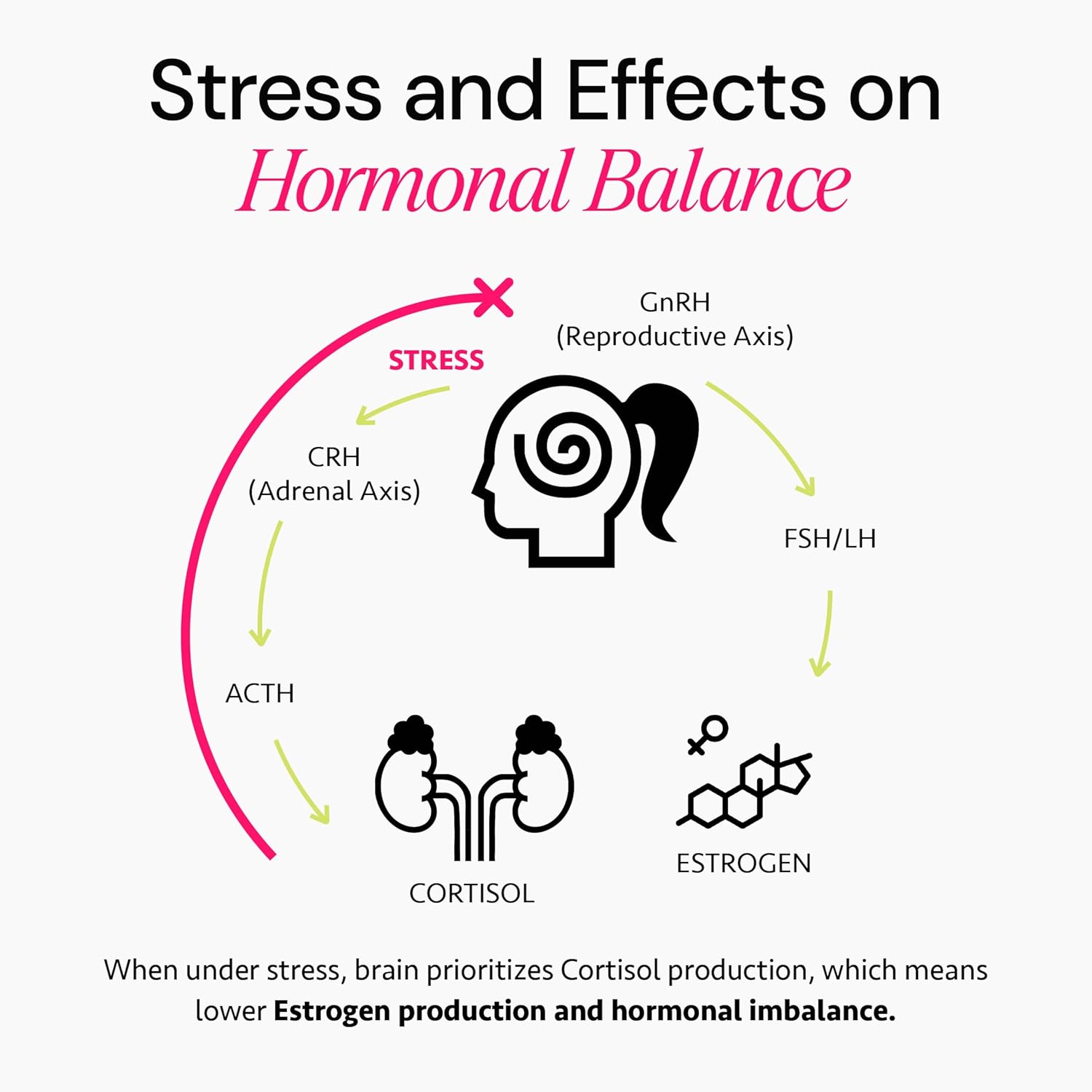 Hormonal Herbal Support Capsules