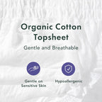 Comfort Shield Disposable Underwear