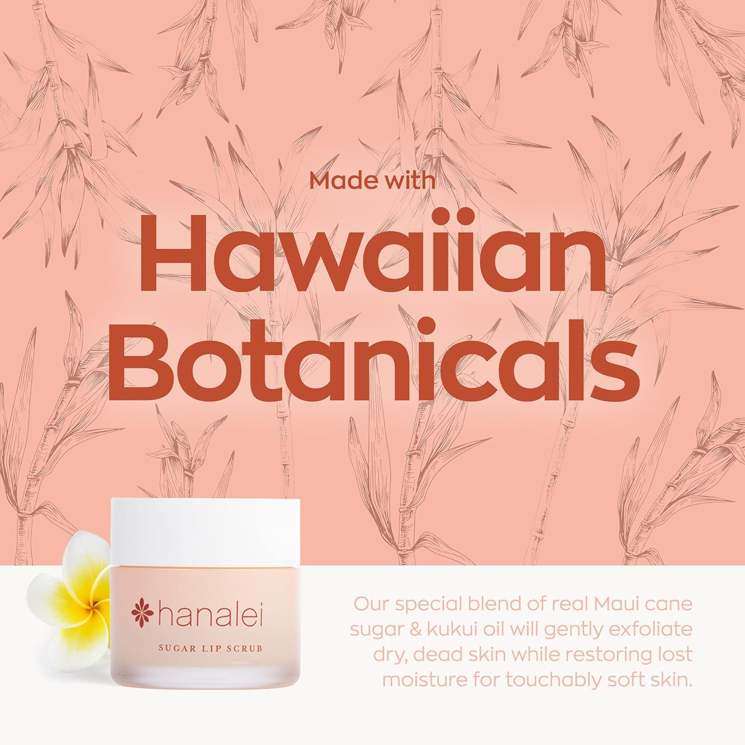Hawaiian Smooth Lip Scrub