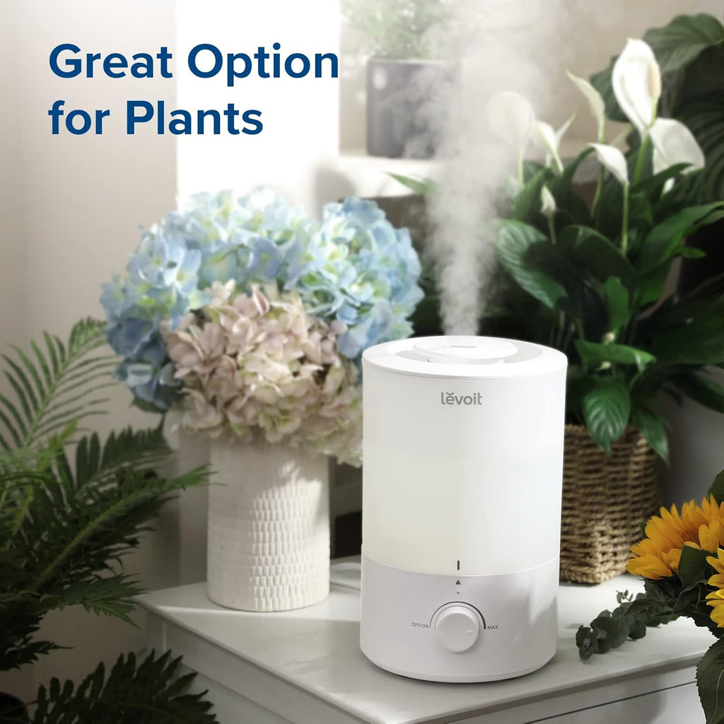 Quiet Aromatherapy Humidifier for Relaxation