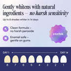 BrightSmile Enzyme Whitening Strips