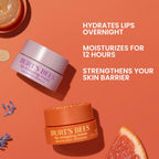 Lavender Vanilla Lip Mask