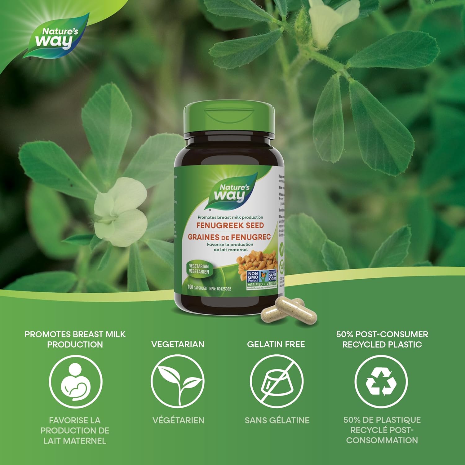 Fenugreek Breastfeeding Support Capsules
