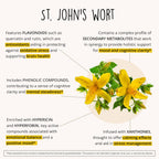 Joyful Mind Herbal Support