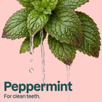 ATTITUDE Fresh Breath Toothpaste – Peppermint