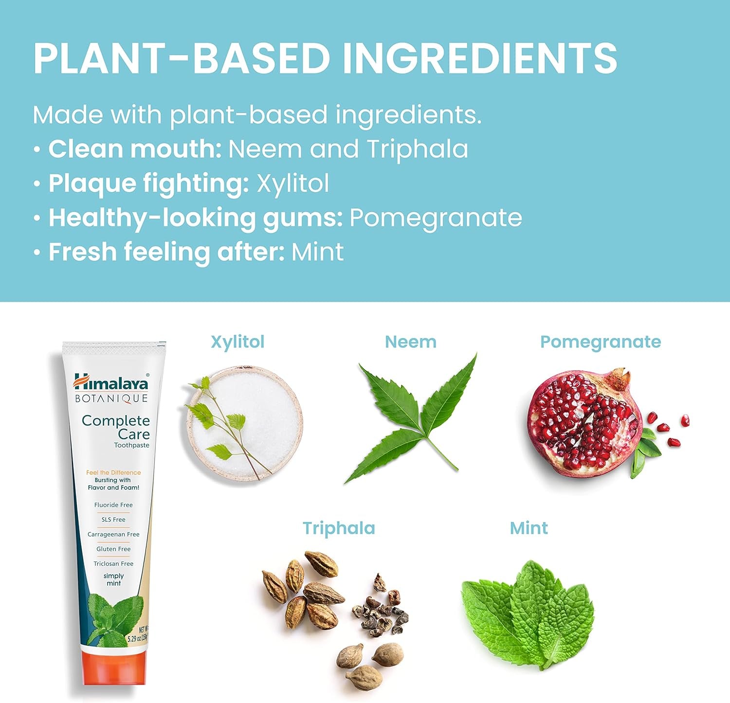 Botanique Complete Care Toothpaste, Herbal, Mint Flavor, Fights Plaque, Freshens Breath, Fluoride Free, No Artificial Flavors, SLS Free, Cruelty Free, Foaming, 5.29 Oz, 2 Pack…