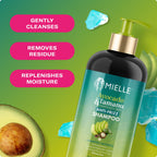 Avocado & Tamanu Anti-Frizz Shampoo - Sulfate Free Smoothing Shampoo for Textured Curly & Straight Styles, Humidity Resistant Hair Care & Moisture Replenishing Scalp Cleanser, 12Oz