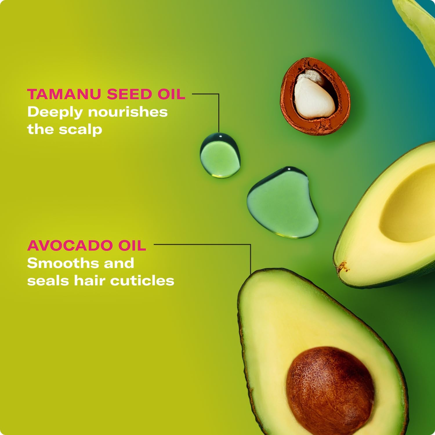 Avocado & Tamanu Anti-Frizz Shampoo - Sulfate Free Smoothing Shampoo for Textured Curly & Straight Styles, Humidity Resistant Hair Care & Moisture Replenishing Scalp Cleanser, 12Oz